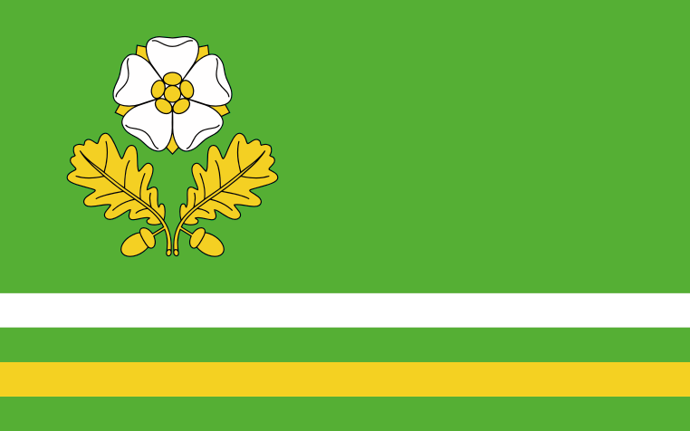 Insygnia Gminy Dąbrowa Zielona Flaga